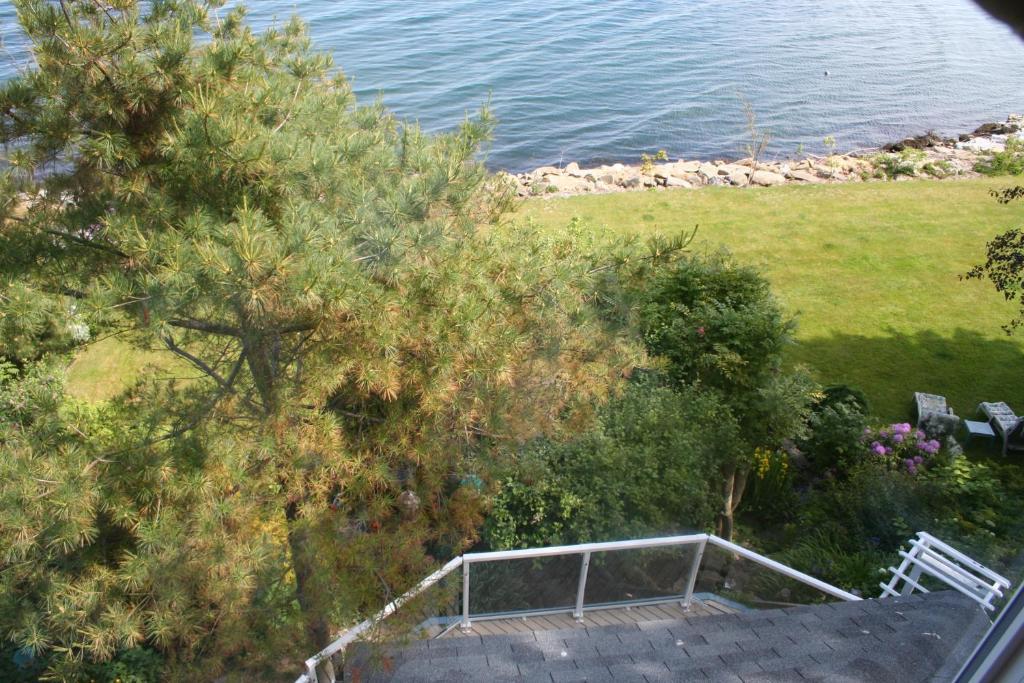 A Boat To Sea Bed & Breakfast Норт Сидни Екстериор снимка