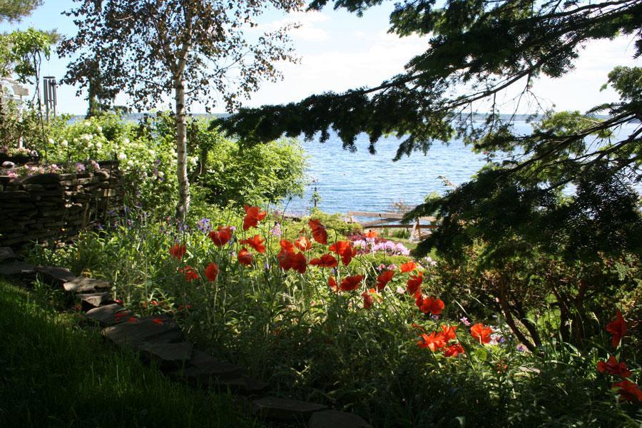 A Boat To Sea Bed & Breakfast Норт Сидни Екстериор снимка